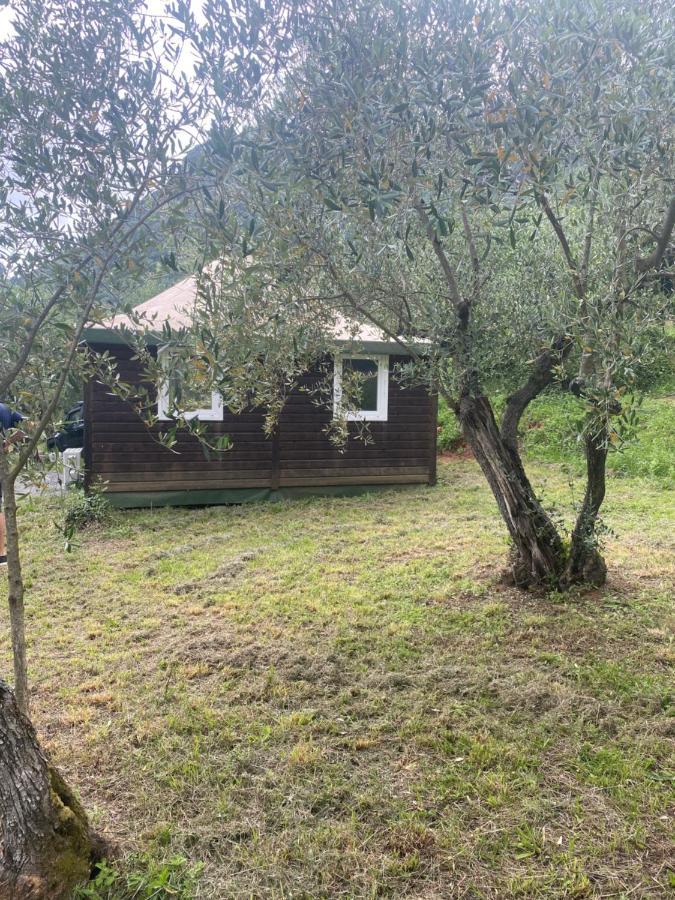 Sotto Il Cielo Di Toscana: Adult-Only Vacation Studios Camaiore Exterior photo